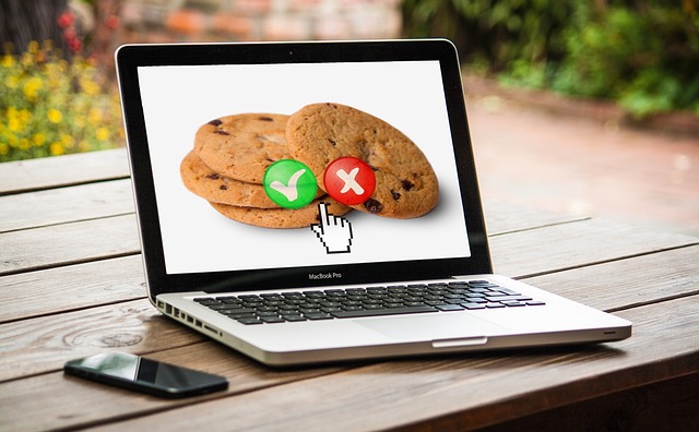 browser